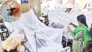 Dengue